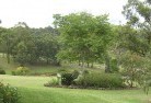 Darling Downs WAresidential-landscaping-40.jpg; ?>